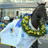 LudvigBs avatar