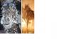 75ans avatar