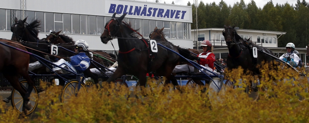 Fredagsmys med Sharps (Bollnäs V64 4/1)